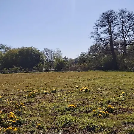 Apartment Countryhouse Wardenburg